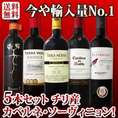 【送料無料】今や輸入量ナンバーワンに輝くチリ!!人気のカベルネ・ソーヴィニョン5本セット！第二弾！