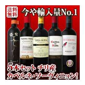 【送料無料】今や輸入量ナンバーワンに輝くチリ!!人気のカベルネ・ソーヴィニョン5本セット！第二弾！