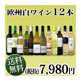 【送料無料】1本あたり665円(税別)!!採算度外視の大感謝!厳選白ワイン12本セット!!