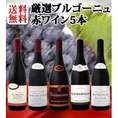 【送料無料】特大感謝のブルゴーニュ赤ワイン大放出5本セット!!!