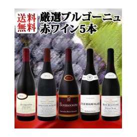 【送料無料】特大感謝のブルゴーニュ赤ワイン大放出5本セット!!!