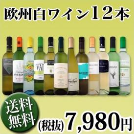 【送料無料】1本あたり665円(税別)！採算度外視の大感謝！厳選白ワイン12本セット