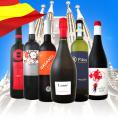 【送料無料】華麗なる新時代スペインワインセット!!