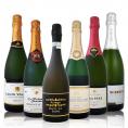 【送料無料】ぜんぶ瓶内2次発酵のシャンパン製法！クレマン＆カバなど極旨至福スパークリング6本！