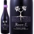 ルート・ワン・ピノ・ノワール・レゼルヴァ　2014【チリ】【赤ワイン】【750ml】【辛口】【ミディアムボディ】【Root One】【Ventisquero】