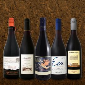 【送料無料】ピノ好き集まれ第10弾！デイリーに飲みたいピノ・ノワール5本セット！