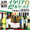 【送料無料】≪バラエティ豊かな個性を満喫!!≫特大感謝の激旨イタリア白ワイン12本セット!!