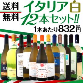 【送料無料】≪バラエティ豊かな個性を満喫!!≫特大感謝の激旨イタリア白ワイン12本セット!!