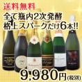 【送料無料】≪泡好きは絶対に見逃せない！≫格上高級スパークリング！シャンパンもフランチャコルタもクレマンもカバも入った必見の瓶内2次6本！