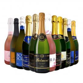 スパークリングワイン セット フランス 12本 wine set sparkling