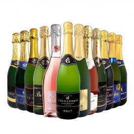 スパークリングワイン セット フランス 12本 wine set sparkling
