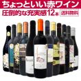【送料無料】当店オススメばかりを厳選したちょっといい赤ワイン12本セット！