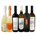 【送料無料】大人気イタリアン【チウ・チウ】激旨6本セット