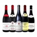  厳選ブルゴーニュ bourgogne 赤ワイン wine 5本セット set 