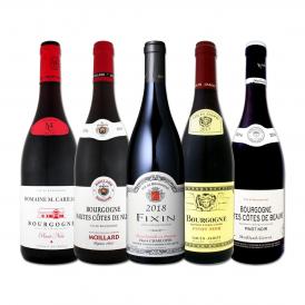  厳選ブルゴーニュ bourgogne 赤ワイン wine 5本セット set 