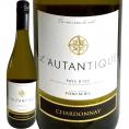 ロタンティーク・シャルドネ chardonnay 2019 フランス France 750ml 