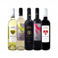  イニエスタ iniesta 選手日本サッカー界活躍祈念 当店独占直輸入の上級赤ワイン wine も入った ボデガ・イニエスタ iniesta 観戦パーティセット set 5本 ワイン