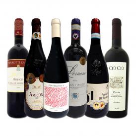  充実感たっぷりのイタリア Italy 赤ワイン wine 6本セット set 