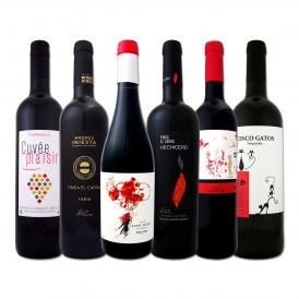  スペイン Spain 全土の地ワイン wine 満喫 スペイン Spain おうちバル赤ワイン wine 6本セット set 