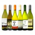  デイリー・シャルドネ chardonnay の決定版 向上目覚しいチリ・アルゼンチンのシャルドネ chardonnay ６本セット set 