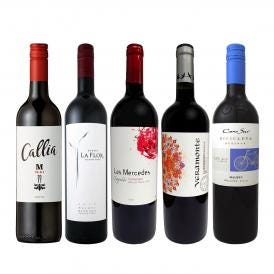  肉料理にぴったり ボルドー bordeaux 人が今も愛するカルメネール＆マルベック厳選5本セット set 