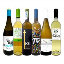  目からウロコ スペイン Spain 白ワイン wine の いま は超激旨 スペイン Spain おうちバル白ワイン wine 6本セット set 