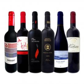  スペイン Spain 全土の地ワイン wine 満喫 スペイン Spain おうちバル赤ワイン wine 6本セット set 