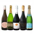  デイリーからデートシーンまで堪能できる世界のお買い得スパークリング sparkling 5本 スパークリング sparkling ワイン wine ワイン wine セット set スパーク