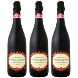  まとめ買い フォルミージネ・ペデモンターナ・ランブルスコ Lambrusco ・グラスパロッサ・ディ・カステルヴェトロ・セッコ ワイン wine セット set 3本 イタリ 