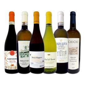  充実感たっぷりのイタリア Italy 白ワイン wine 6本セット set ワイン wine ワイン wine セット set セット set 白ワイン wine セット
