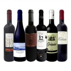  スペイン Spain 全土の地ワイン wine 満喫 スペイン Spain おうちバル赤ワイン wine 6本セット set 