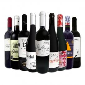  おうちタパスにピッタリ スペイン Spain 各地の赤飲み比べ おうちバル赤ワイン wine 9本セット set 