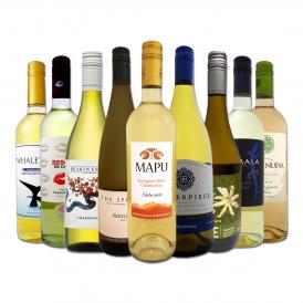  新世界白ワイン wine 9本セット set パーティーにもぴったり 