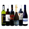  華麗なる新時代スペイン Spain ワイン wine 6本セット set 