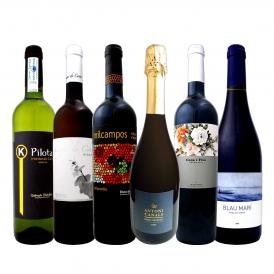  華麗なる新時代スペイン Spain ワイン wine 6本セット set 