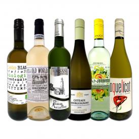 白ワイン wine セット set 第158弾 採算度外視の謝恩企画 当店厳選 特大感謝の大満足白ワイン wine 6本セット set ワイン wine セット set 金賞ワイン wine 飲 
