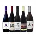  ピノ好き集まれ 新世界のお値打ちピノ５本セット set 
