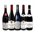  厳選ブルゴーニュ bourgogne 赤ワイン wine 5本セット set 