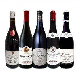  厳選ブルゴーニュ bourgogne 赤ワイン wine 5本セット set 