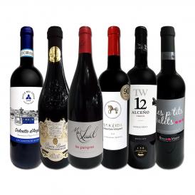 赤ワイン wine セット set 第119弾 当店厳選 これぞ極旨赤ワイン wine 大満足 充実の飲み応え 贅沢なスーパー・セレクト赤ワイン wine 6本セット set ワイン wi