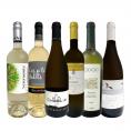  当店 極 厳選 白ワイン wine 好きならこのセット set 格別の美味しさ 華やかな上質白ワイン wine を存分に味わう贅沢白ワイン wine 6本セット set 
