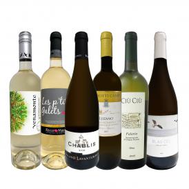  当店 極 厳選 白ワイン wine 好きならこのセット set 格別の美味しさ 華やかな上質白ワイン wine を存分に味わう贅沢白ワイン wine 6本セット set 