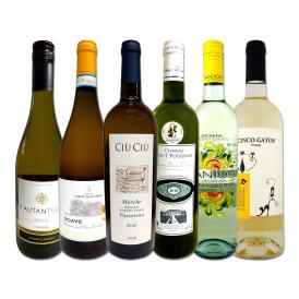 白ワイン wine セット set 第159弾 採算度外視の謝恩企画 当店厳選 特大感謝の大満足白ワイン wine 6本セット set ワイン wine セット set 金賞ワイン wine 飲 