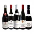  厳選ブルゴーニュ bourgogne 赤ワイン wine 5本セット set 