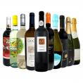  第6弾 40％OFF 必見ベストセラーバラエティ 当店代表する人気一押しワイン wine ばかりを集めた渾身の赤白泡スペシャルパーティー10本セット set 