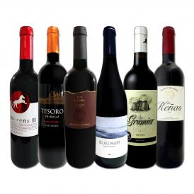  スペイン Spain 全土の地ワイン wine 満喫 スペイン Spain おうちバル赤ワイン wine 6本セット set 