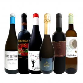  華麗なる新時代スペイン Spain ワイン wine 6本セット set 