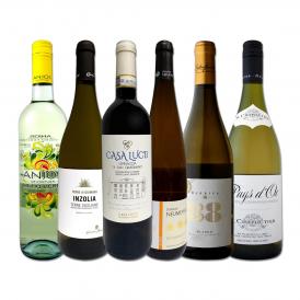 白ワイン wine セット set 第154弾 当店厳選 これぞ極旨辛口白ワイン wine 白ワイン wine を存分に楽しむ 味わい深いスーパー・セレクト白 750ml 6本セット set