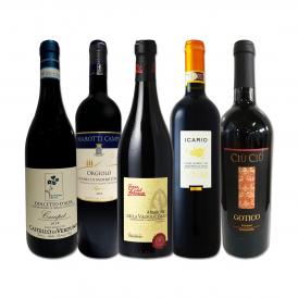  銘醸アマローネ入り ワンランク上の極旨イタリア Italy 赤5本セット set 