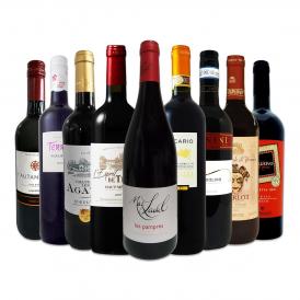  端数在庫一掃 赤ワイン wine 9本セット set 
